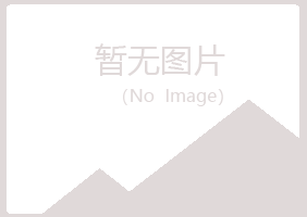 香洲区盼夏水泥有限公司